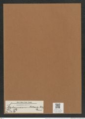 Stephanodiscus astraea (Ehr.) Grun. (de-Toni-Nr.: Genus 189, Species 4689) Zeichnungen Sammlung Grunow Mappe 04595 (Herbarium_W_Grunow_drawings_Folder_04595)